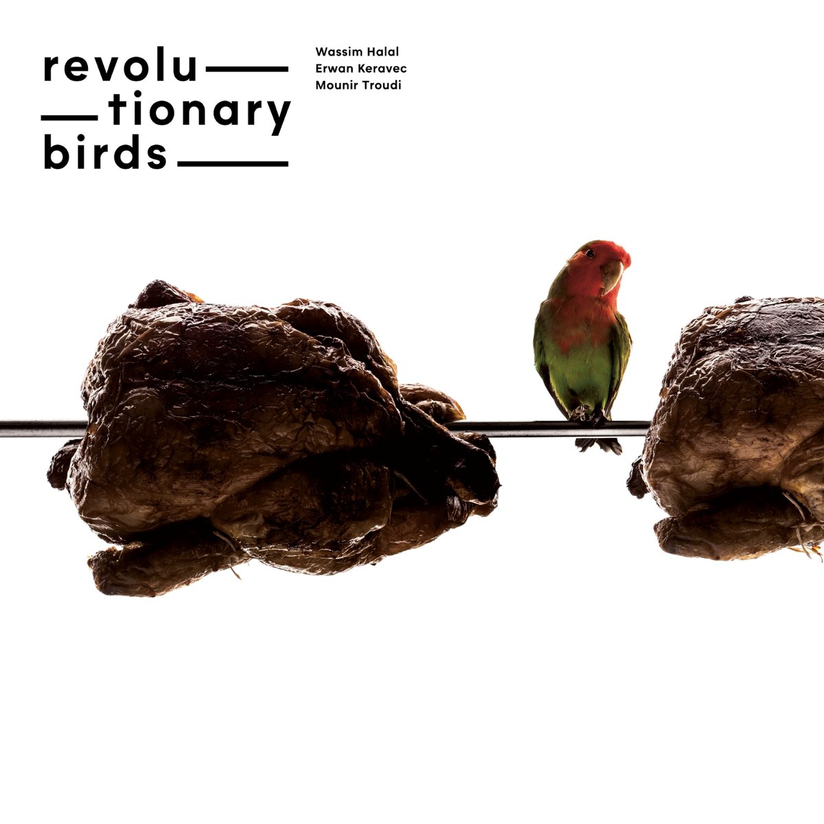 Revolution bird. Listen to the Birds.