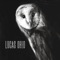 Buttons & Wings - Lucas Ohio lyrics