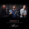 Perfect - Single album lyrics, reviews, download