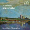 Schubert: Impromptus artwork