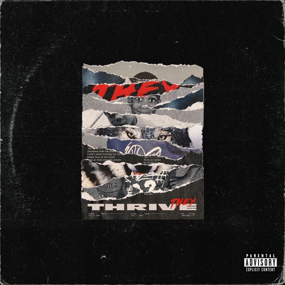 Cover artwork for Thrive