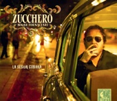 Zucchero - Everybody's Got to Learn Sometime