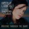 Driving Through the Dark - Single, 2018
