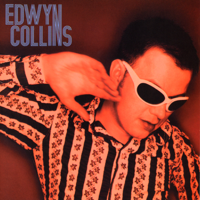 Edwyn Collins - I'm Not Following You artwork