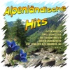 Alpenländische Hits, 2009