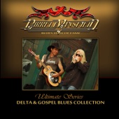 Ultimate Series: Delta & Gospel Blues Collection artwork