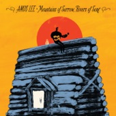 Amos Lee - The Man Who Wants You