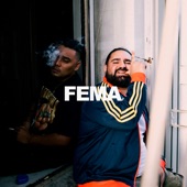 Fema artwork