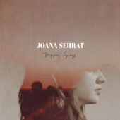 Trapped in the Fog - Joana Serrat