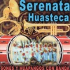 Sones y Huapangos con Banda