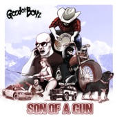 Son of a Gun artwork