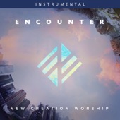 Encounter (Instrumental) artwork