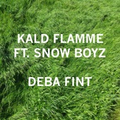 Deba Fint (feat. Snow Boyz) artwork