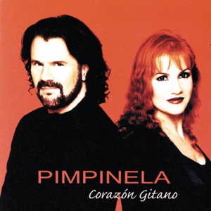 Pimpinela - Pasodoble, Te Quiero - 排舞 音樂
