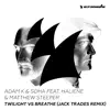 Twilight vs. Breathe (feat. Haliene & Matthew Steeper) [Jack Trades Remix] - Single album lyrics, reviews, download