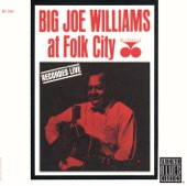 Big Joe Williams At Folk City (Live) [Remastered] artwork