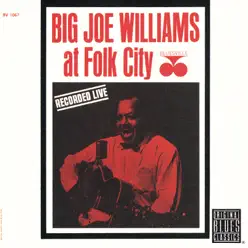 Big Joe Williams At Folk City (Live) [Remastered] - Big Joe Williams