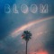 Bloom - Adam Friedman lyrics