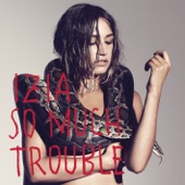 So Much Trouble artwork