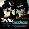 Tardes Gaudérias - 10 Anos
