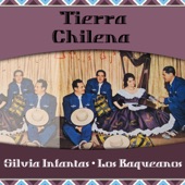 Tierra Chilena artwork