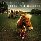 Gaelic Storm - Kiss Me I'm Irish