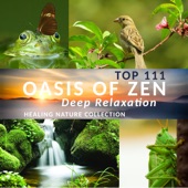 Top 111 Oasis of Zen Deep Relaxation: Healing Nature Collection, New Age Music for Yoga Meditation, Deep Sleep & Wellbeing, Mindfulness Training, Spa Background artwork