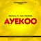 Ayekoo (feat. King Promise) - Medikal lyrics