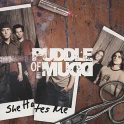 She Hates Me - Single - Puddle Of Mudd