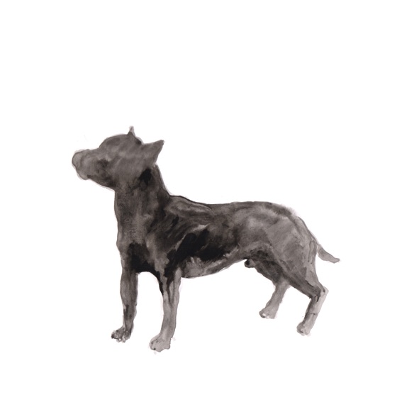 Cover artwork for I'll Be Waiting