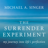 Michael A. Singer - The Surrender Experiment artwork