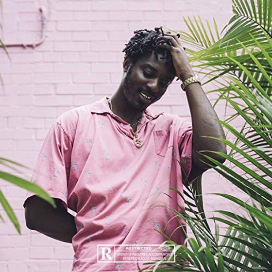 Cover artwork for Tony Flamingo