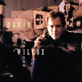 David Wilcox - Big Mistake