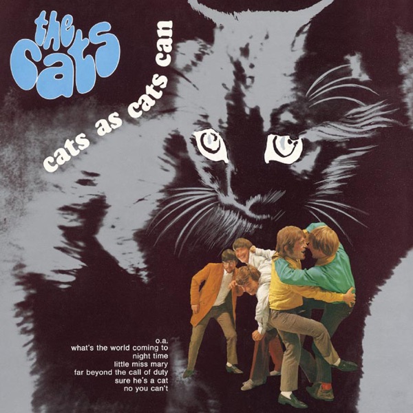 The Cats - Sure He