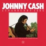 Johnny Cash - Doin' My Time