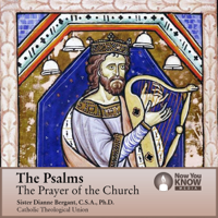 Sr. Dianne Bergant CSA PhD - The Psalms: The Prayer of the Church artwork