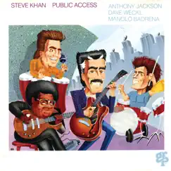 Public Access by Steve Khan album reviews, ratings, credits
