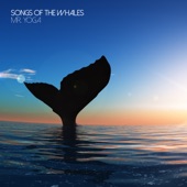 Songs of the Whales artwork