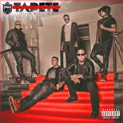 Tapete Vermelho - Zona 5 Tapete Vermelho - Zona 5