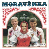 Moravěnka artwork