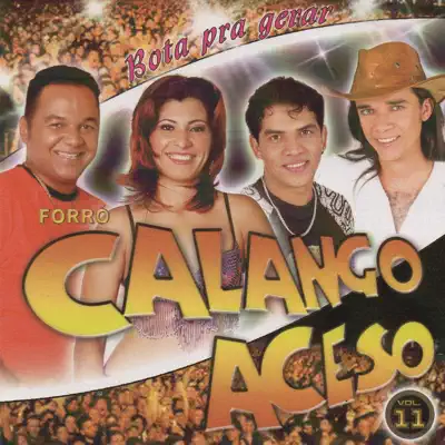 Bota pra Gerar, Vol. 11 - Calango Aceso Bota pra Gerar, Vol. 11 - Calango Aceso