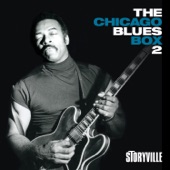 The Chicago Blues Box 2, Vol. 7 (feat. Louis Myers, Dave Myers & Freddie Below) artwork