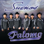 Palomo - Y Sufrirás