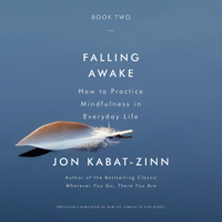 Jon Kabat-Zinn - Falling Awake artwork