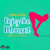 Enjoy the Moment artwork