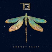 Dreamers (Embody Remix) artwork