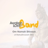 Om Namah Shivaya artwork