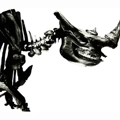 Mr.Children 1996-2000 - Mr. Children