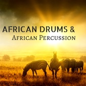 African Drums & African Percussion - Traditional Conga Drumming, Music Festival artwork
