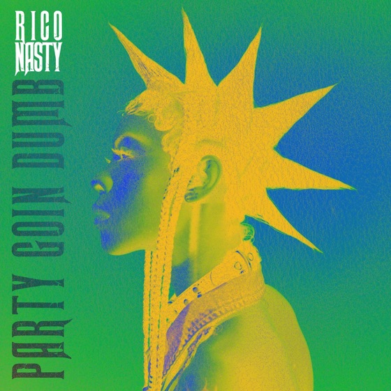 Cover artwork for Party Goin Dumb